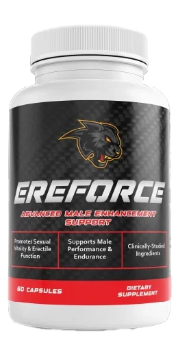 eec33083-bb40-4644-9716-d28df9c77237 copiar